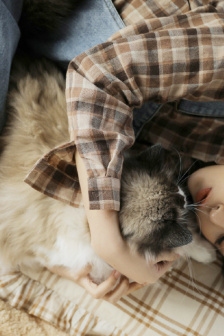 御姐胸猛